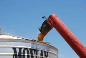 Great place to mount camera on end of chaser auger