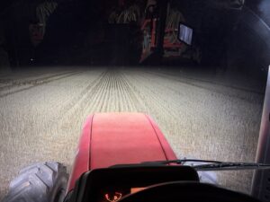 LED Light Upgrade MF8280