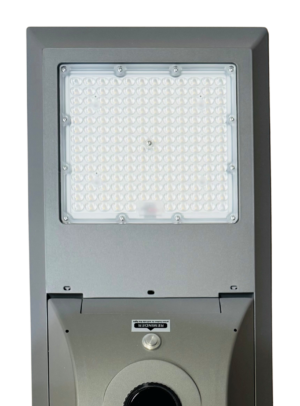 30 Watt Solar Yard Light